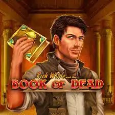 Book of Dead – slot by Play'n GO, featured at towercasino.vip