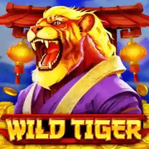 wild-tiger